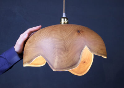luminaire original