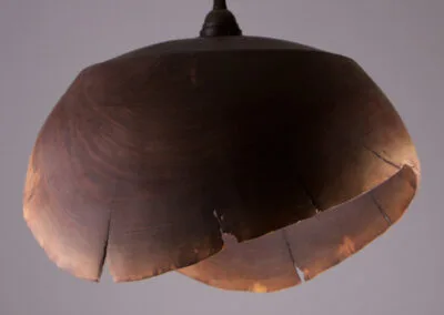 luminaire suspension originale