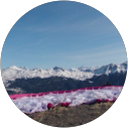 charlotte B. profile picture